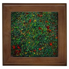 Grass Nature Meadow Framed Tile