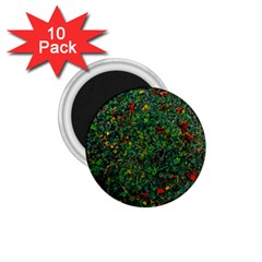 Grass Nature Meadow 1 75  Magnets (10 Pack) 