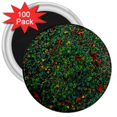 Grass Nature Meadow 3  Magnets (100 Pack)