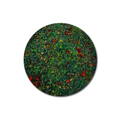 Grass Nature Meadow Magnet 3  (round)