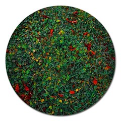 Grass Nature Meadow Magnet 5  (round)