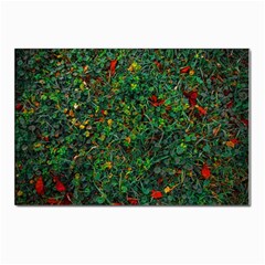 Grass Nature Meadow Postcards 5  X 7  (pkg Of 10)