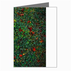 Grass Nature Meadow Greeting Card