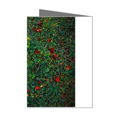 Grass Nature Meadow Mini Greeting Cards (pkg Of 8)