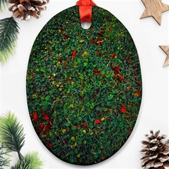 Grass Nature Meadow Oval Ornament (two Sides)