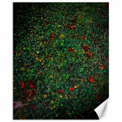 Grass Nature Meadow Canvas 16  X 20 