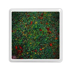 Grass Nature Meadow Memory Card Reader (square)