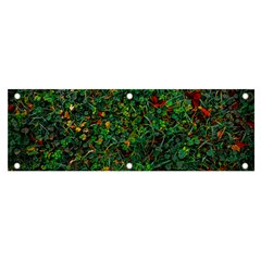 Grass Nature Meadow Banner And Sign 6  X 2 