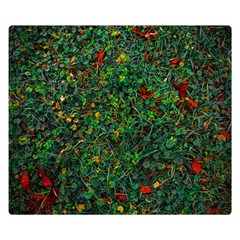 Grass Nature Meadow Premium Plush Fleece Blanket (small)