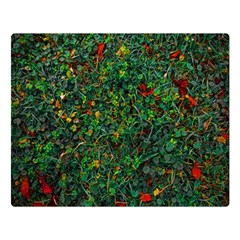 Grass Nature Meadow Premium Plush Fleece Blanket (large)