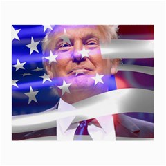 Donald Trump Flag Small Glasses Cloth