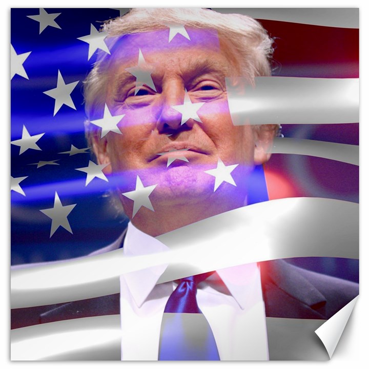 Donald Trump Flag Canvas 20  x 20 