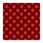 Illustrations Red Abstract Pattern Seamless Texture Medium Glasses Cloth (2 Sides) Front