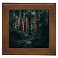 Forest Jungle Trees Tropics Framed Tile