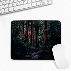 Forest Jungle Trees Tropics Small Mousepad