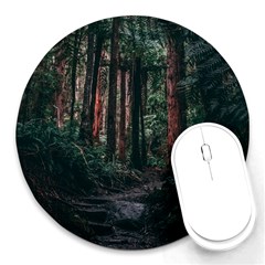 Forest Jungle Trees Tropics Round Mousepad