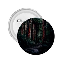 Forest Jungle Trees Tropics 2 25  Buttons