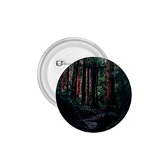 Forest Jungle Trees Tropics 1 75  Buttons