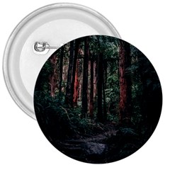 Forest Jungle Trees Tropics 3  Buttons