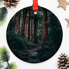 Forest Jungle Trees Tropics Ornament (round)