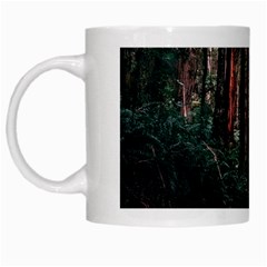 Forest Jungle Trees Tropics White Mug