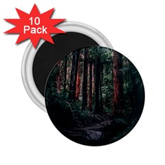 Forest Jungle Trees Tropics 2 25  Magnets (10 Pack) 