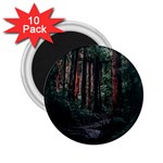 Forest Jungle Trees Tropics 2.25  Magnets (10 pack)  Front