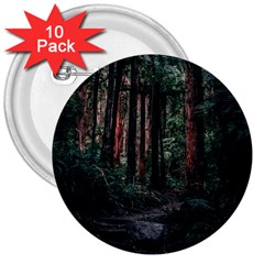 Forest Jungle Trees Tropics 3  Buttons (10 Pack) 