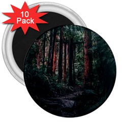 Forest Jungle Trees Tropics 3  Magnets (10 Pack) 