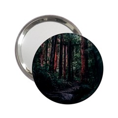 Forest Jungle Trees Tropics 2 25  Handbag Mirrors by Bedest