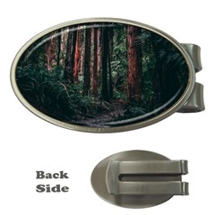 Forest Jungle Trees Tropics Money Clips (oval) 