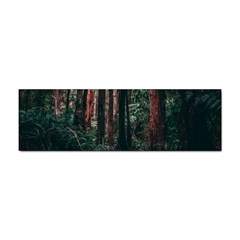 Forest Jungle Trees Tropics Sticker (bumper)