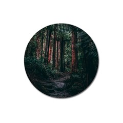 Forest Jungle Trees Tropics Magnet 3  (round)