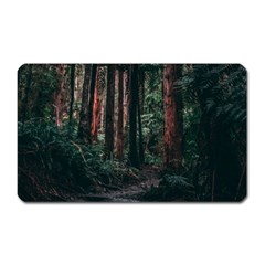 Forest Jungle Trees Tropics Magnet (rectangular)