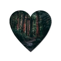 Forest Jungle Trees Tropics Heart Magnet