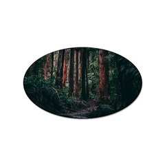 Forest Jungle Trees Tropics Sticker Oval (100 Pack)