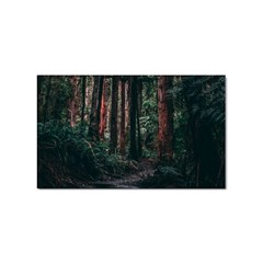 Forest Jungle Trees Tropics Sticker Rectangular (10 Pack)