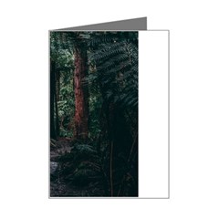 Forest Jungle Trees Tropics Mini Greeting Card