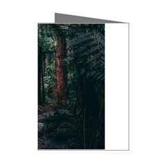 Forest Jungle Trees Tropics Mini Greeting Cards (pkg Of 8)