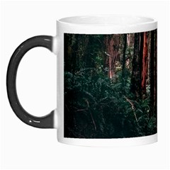 Forest Jungle Trees Tropics Morph Mug