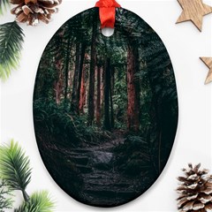 Forest Jungle Trees Tropics Oval Ornament (two Sides)