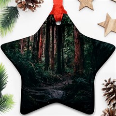 Forest Jungle Trees Tropics Star Ornament (two Sides)