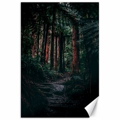 Forest Jungle Trees Tropics Canvas 20  X 30 