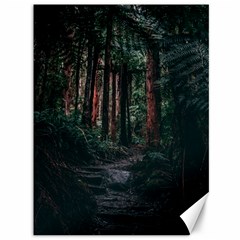 Forest Jungle Trees Tropics Canvas 36  X 48 