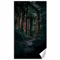 Forest Jungle Trees Tropics Canvas 40  X 72 