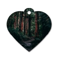 Forest Jungle Trees Tropics Dog Tag Heart (two Sides)