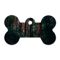 Forest Jungle Trees Tropics Dog Tag Bone (two Sides)