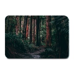 Forest Jungle Trees Tropics Plate Mats