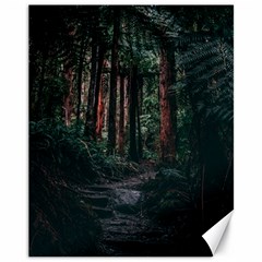 Forest Jungle Trees Tropics Canvas 11  X 14 