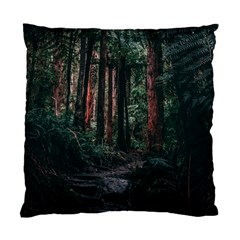 Forest Jungle Trees Tropics Standard Cushion Case (two Sides)